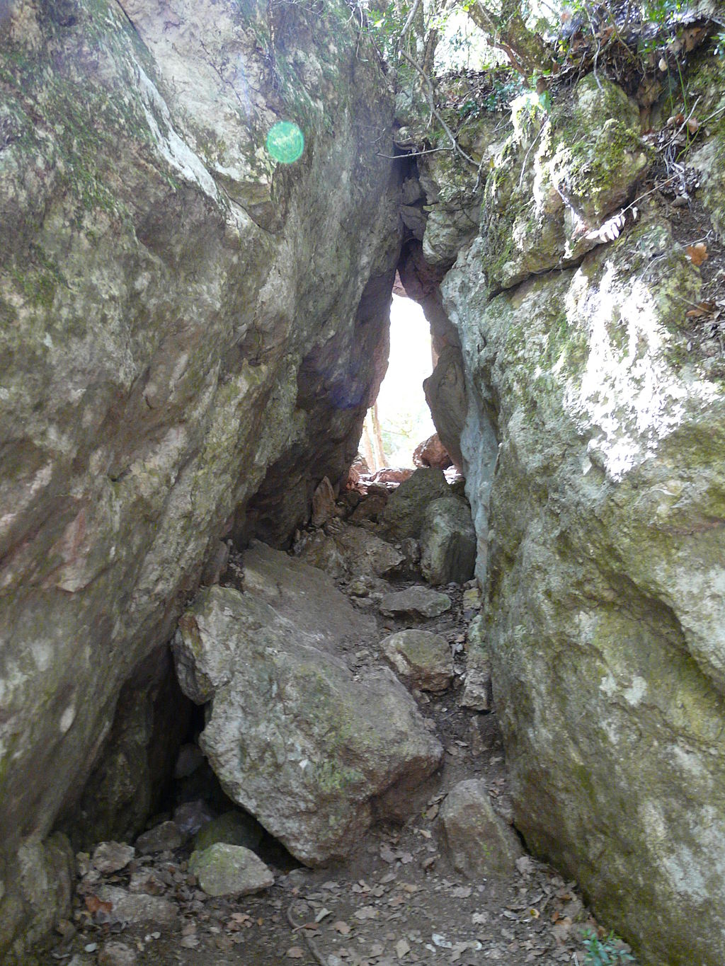 La cova de les Gralles