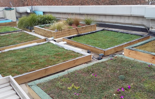 Imatge de la terrassa de l'edifici Mercè Rodoreda de la UPF