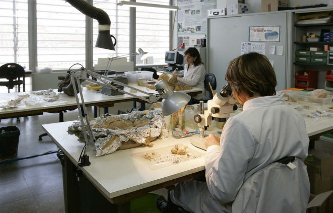 Imatge d'un laboratori de paleontologia de l'ICP
