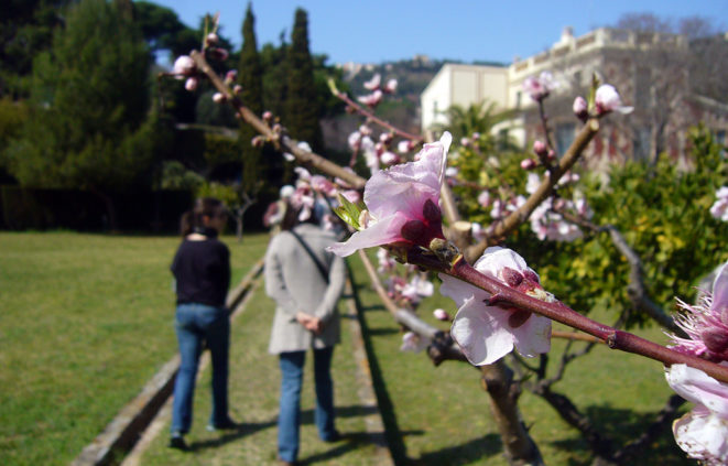 Foto de visites botàniques a la Finca Pedro i Pons