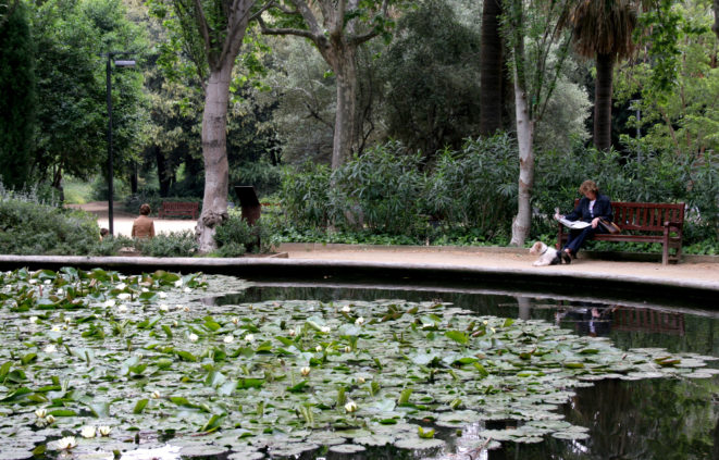 Imatge dels jardins del Turó Park de Barcelona