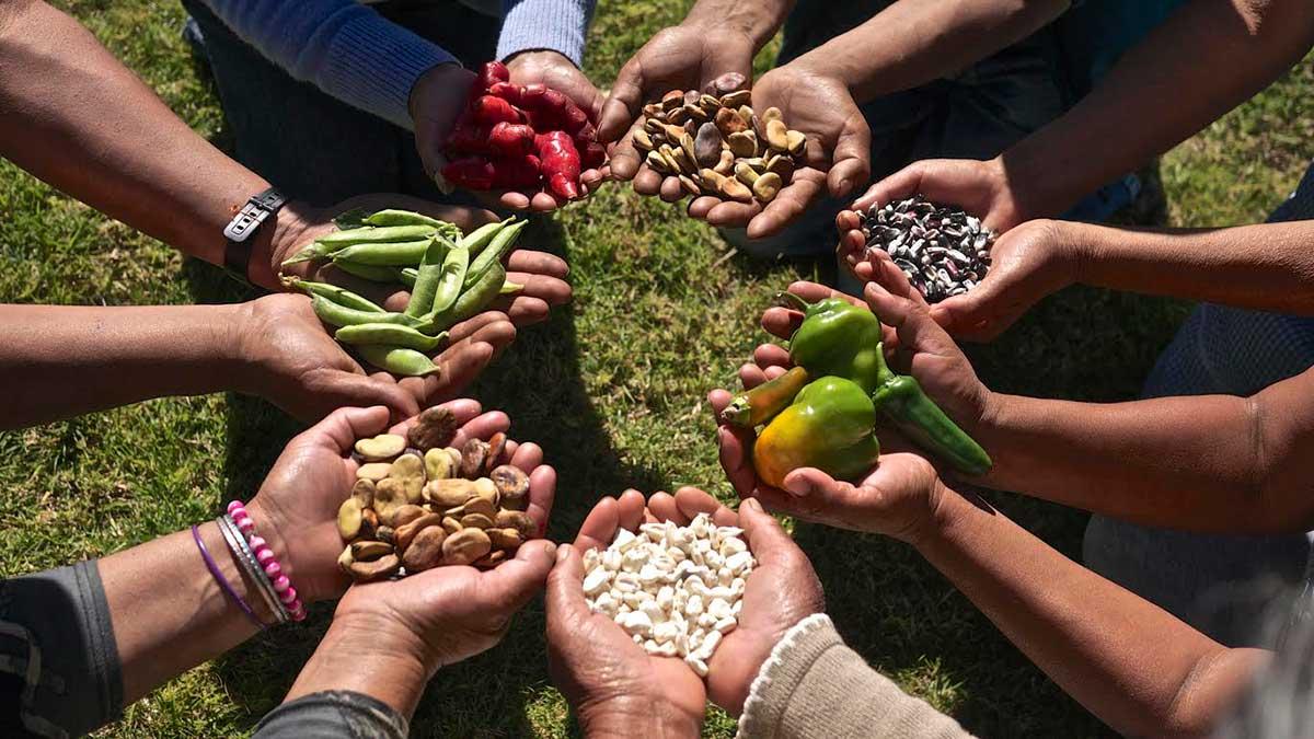 L’agroecologia com a resposta