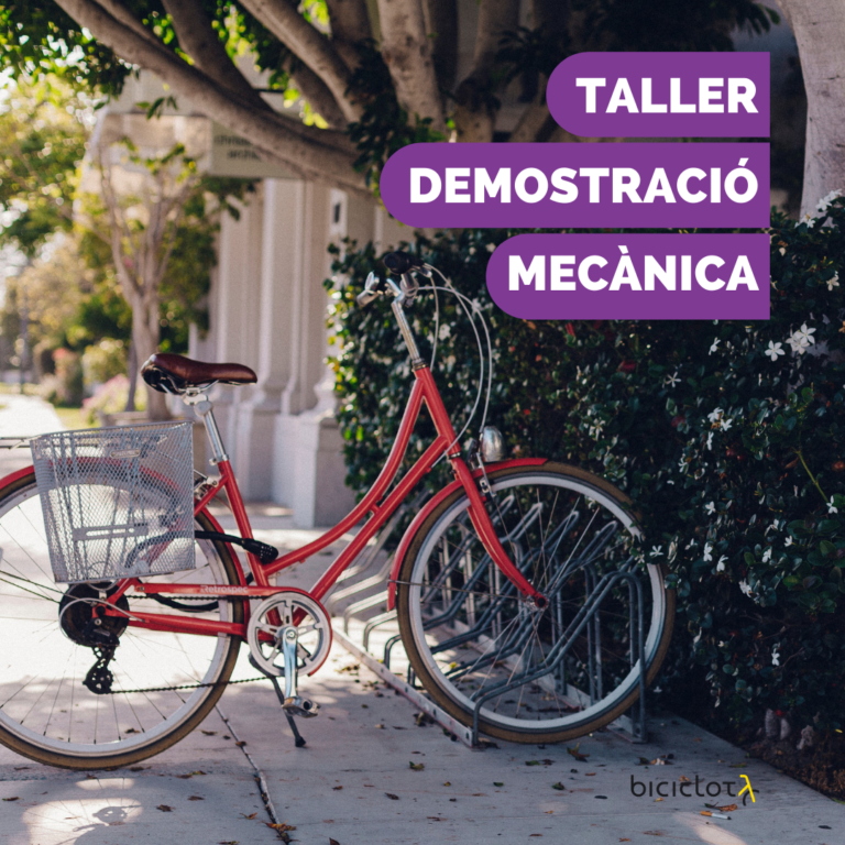 Iniciació a la mecànica i al manteniment de la bicicleta