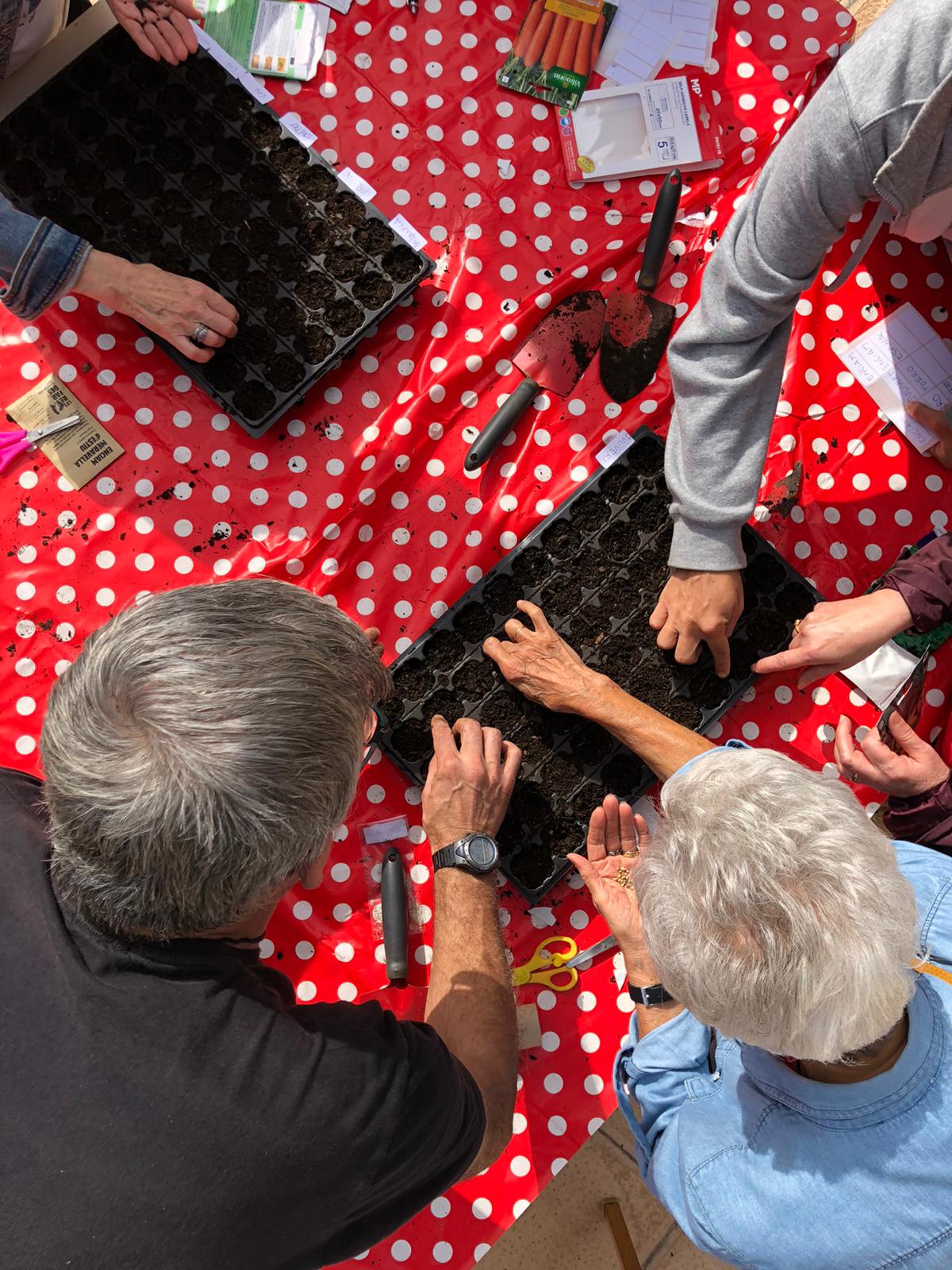 Festes Majors de Navas: Descobrim les llavors i fem un planter