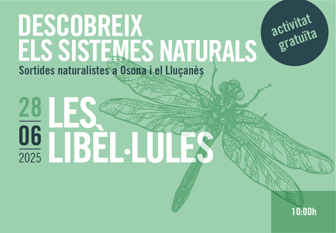 Les libèl·lules. Sortides naturalistes a Osona