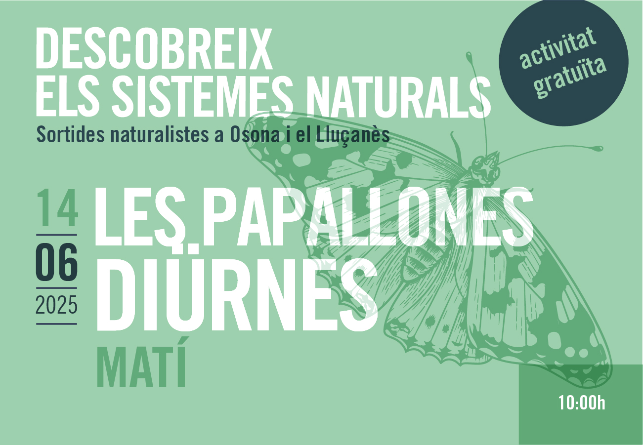 Les papallones diürnes. Sortides naturalistes a Osona