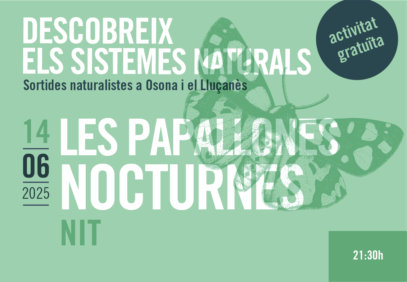 Les papallones nocturnes. Sortides naturalistes a Osona