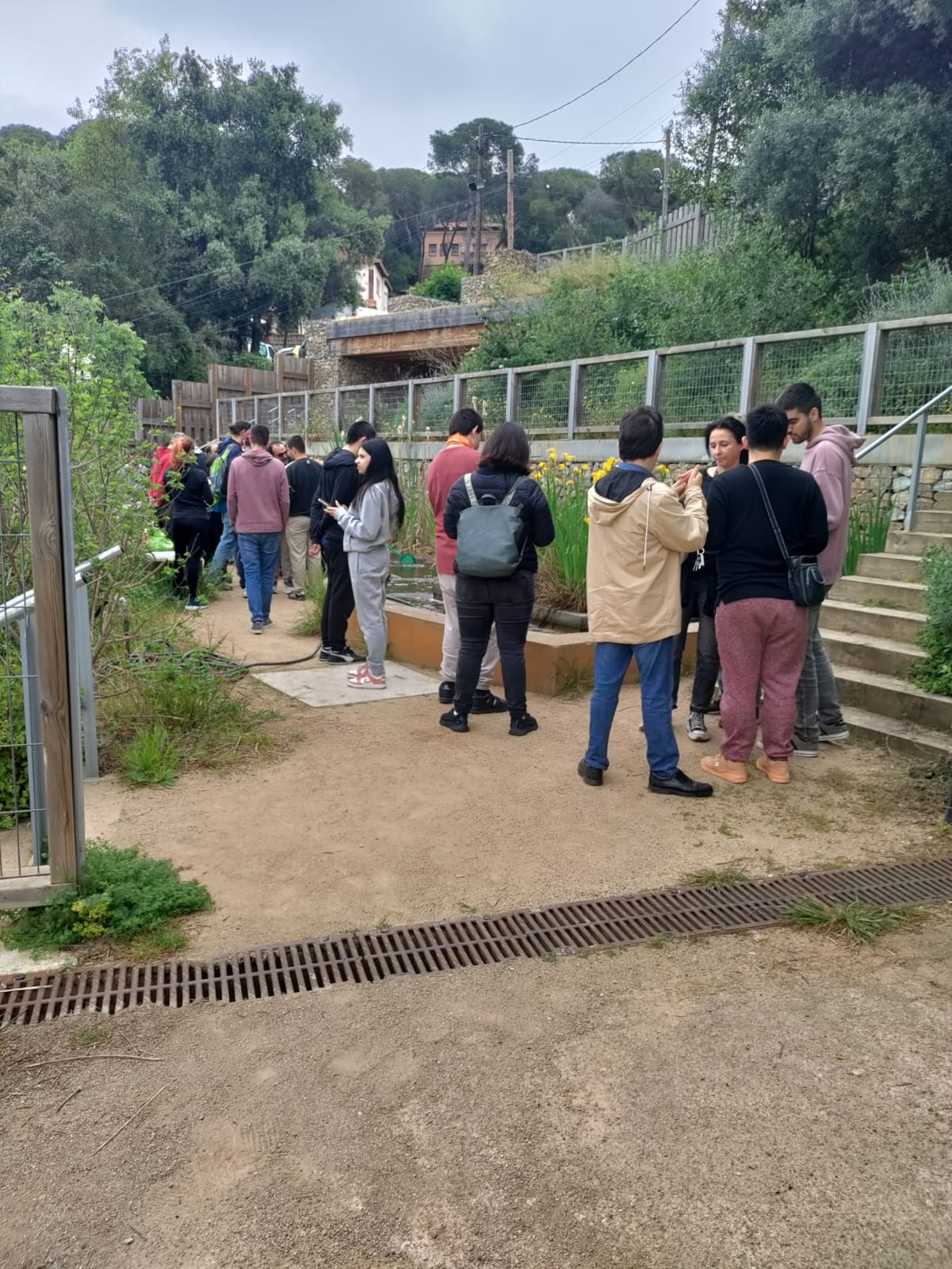 Ciència ciutadana inclusiva
