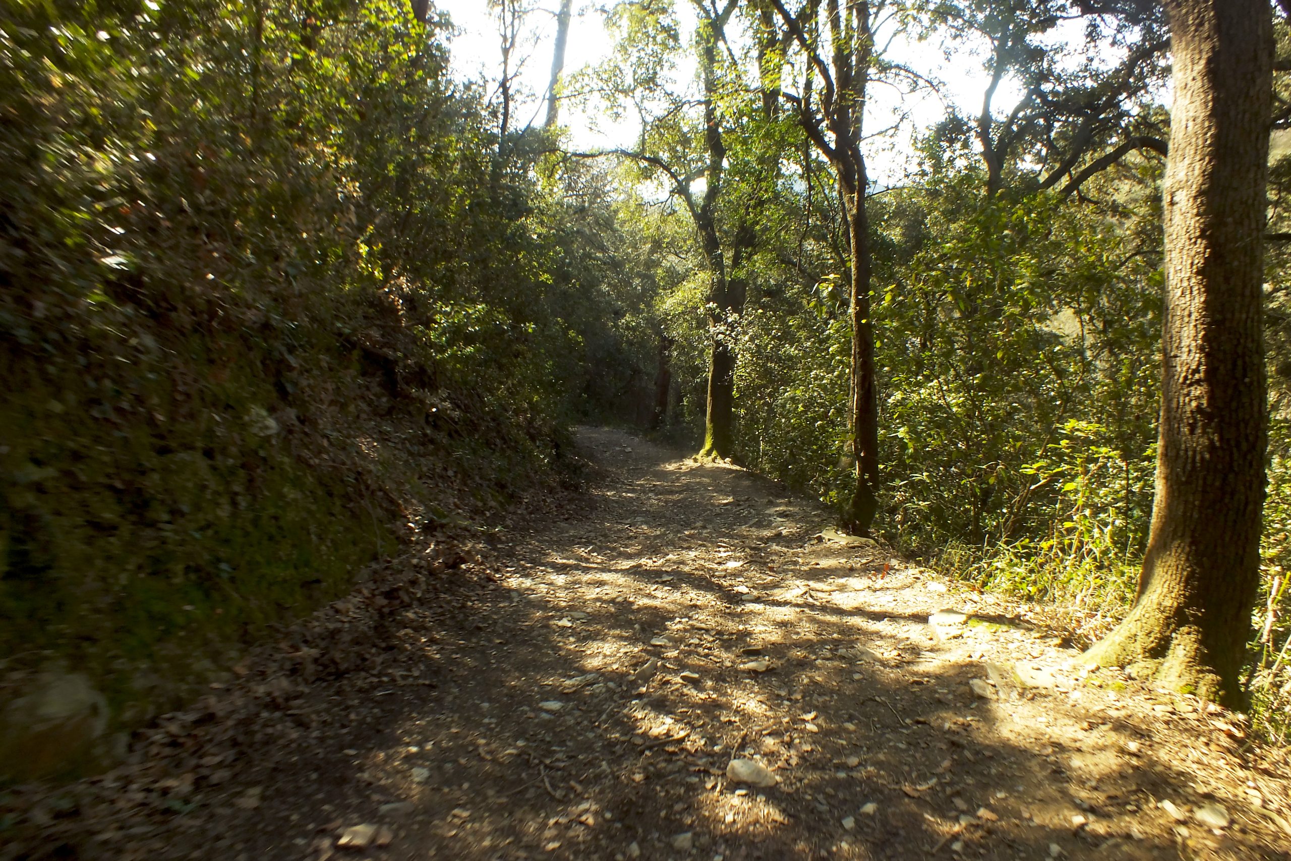 Coneixent Collserola
