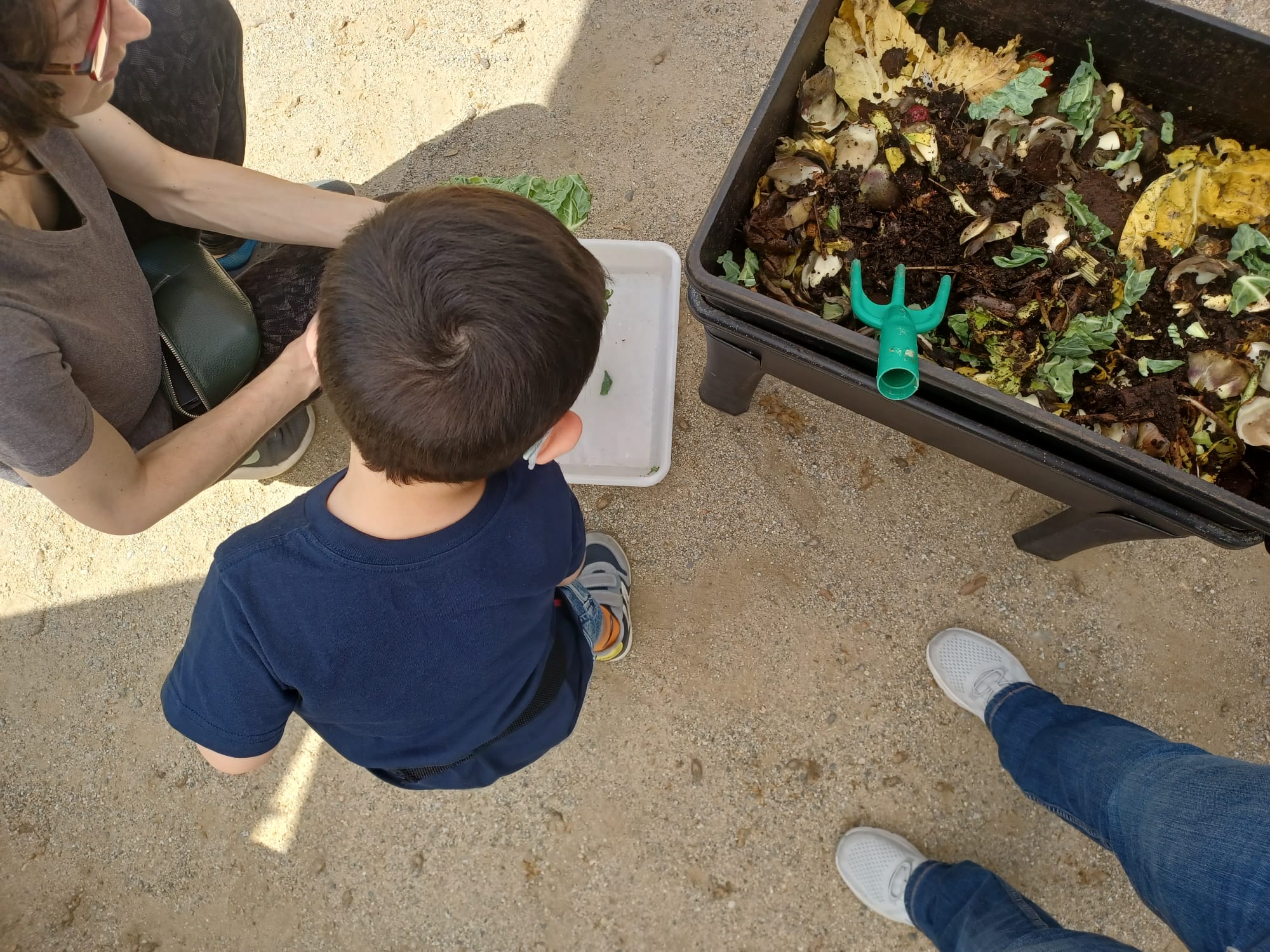 Festa Verda del Coll