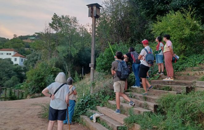 Revisió de l'hotel de ratpenats de l'Aula Ambiental Bosc Turull amb una càmera, tardor de 2025.