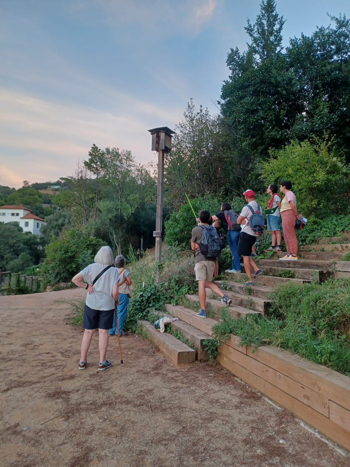 Seguiment de ratpenats