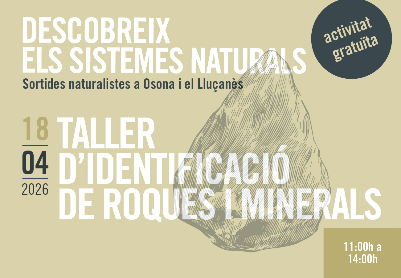 Taller d'identifiació de roques i minerals