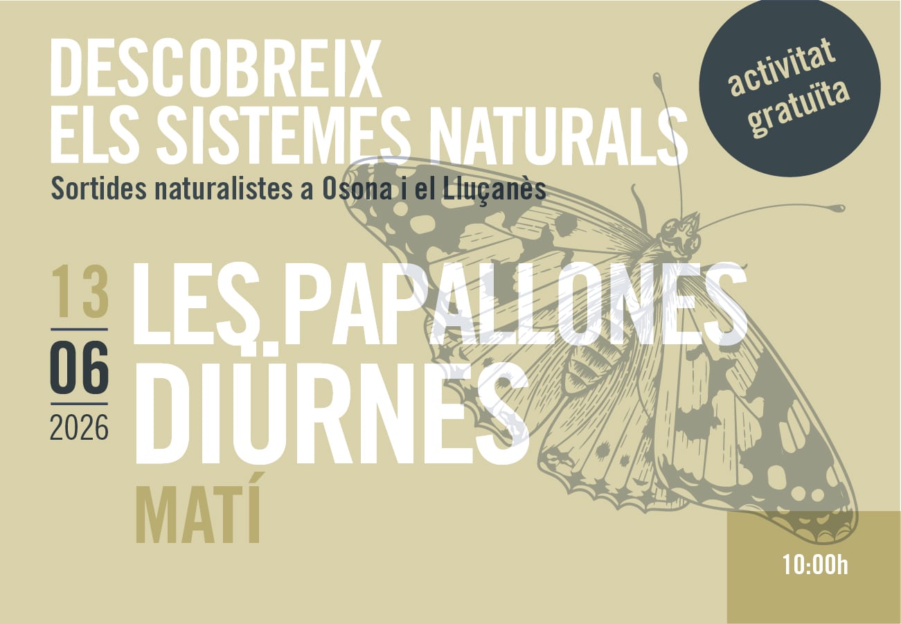Les Papallones Diürnes. Sortides naturalistes 2026