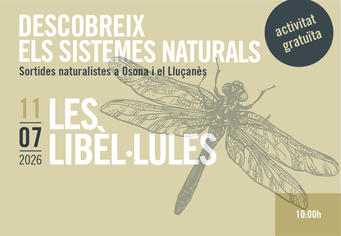 Les libèl·lules. Sortides naturalistes 2026