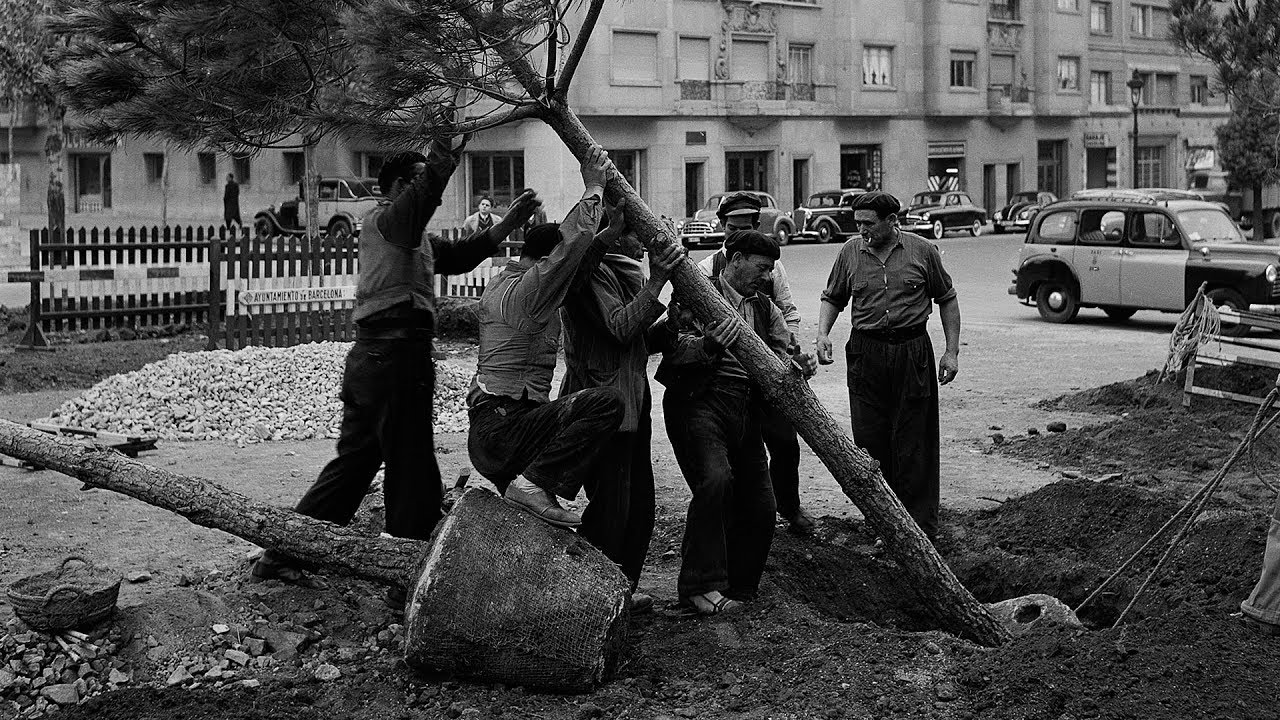 Exposició: Mirades del verd