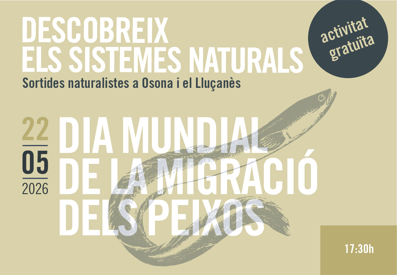 Dia mundial de la migració dels peixos. Sortides naturalistes 2026